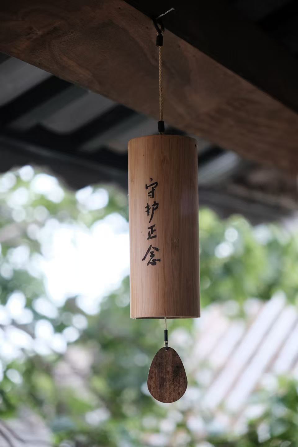 别院庭院石板小径与晨光